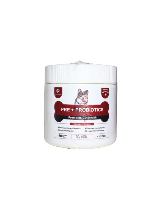 Vita Planet Pre + Probiotics