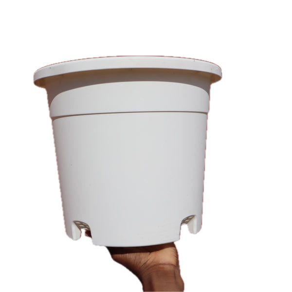 Plain Colour, Plastic Plant Pot